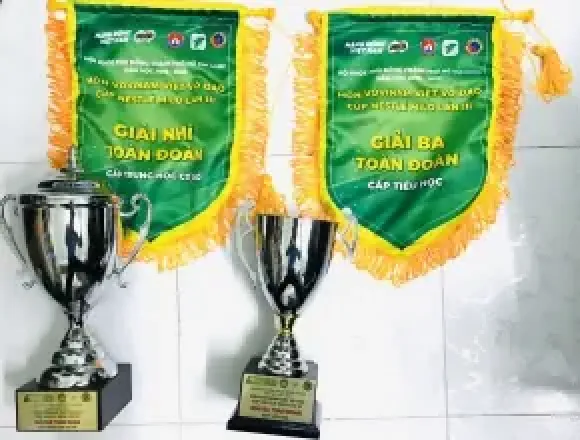 Vovinam quận Bình Tân đạt 