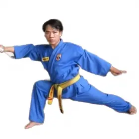 Vovinam Việt Võ Đạo quận Bình Tân