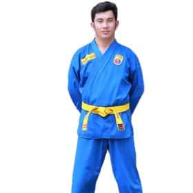 Vovinam Việt Võ Đạo quận Bình Tân