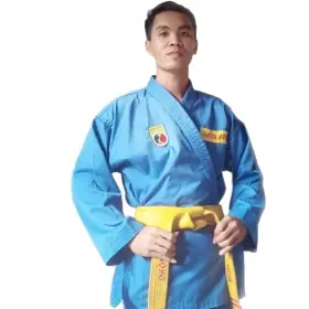 Vovinam Việt Võ Đạo quận Bình Tân